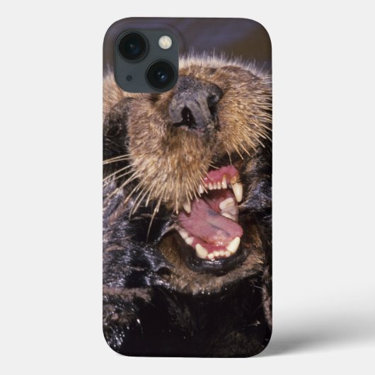 Coques Case-Mate iPhone Loutres de mer, lutris 6 d'Enhydra (Verso)