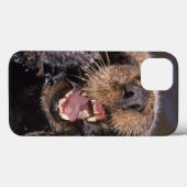 Coques Case-Mate iPhone Loutres de mer, lutris 6 d'Enhydra (Verso (horizontal))