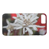 Coques Case-Mate iPhone Lovely Edelweiss Leontopodium nivale (Dos (Horizontal))