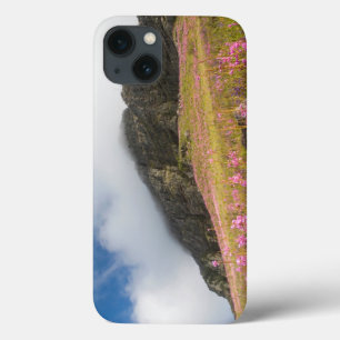 Case-Mate iPhone Case Low Angle View Of Watsonias Against The Slopes