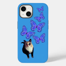 Lucille & The Butterflies Cat 