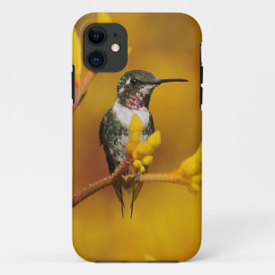 Coque Case-Mate Pour iPhone Lueur d'or