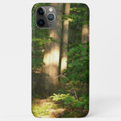 Coques Case-Mate iPhone Lumière de la forêt (Dos)