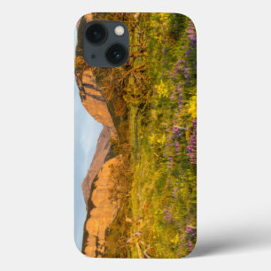 Etui iPhone Case-Mate Lumières du lever du soleil Blackleaf Canyon