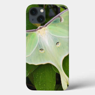 Etui iPhone 13 Luna Moth on Carnaby Clematis