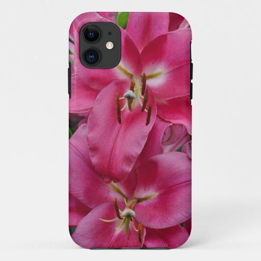Coques Case-Mate iPhone Lys stargazers roses (Dos)