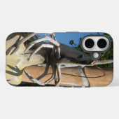 Coques Case-Mate iPhone M. Crustacean AKA Tête de homard ... Enfer bouddhi (Verso (horizontal))