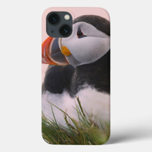 Case-Mate iPhone Case Macareux atlantique (Fratercula arctica)
