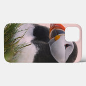 Coques Case-Mate iPhone Macareux atlantique (Fratercula arctica) (Verso (horizontal))