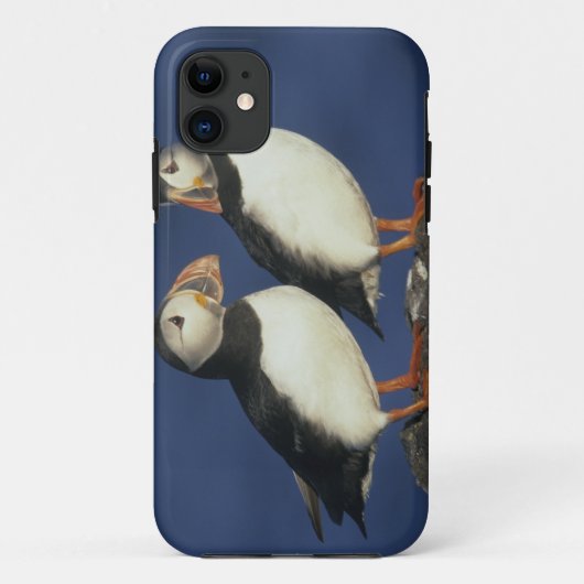 Coques Case-Mate iPhone Macareux moine (Dos)