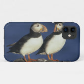Coques Case-Mate iPhone Macareux moine (Dos (Horizontal))
