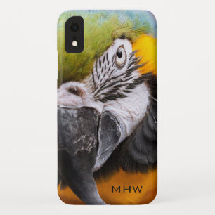 Case-Mate iPhone Case Macaw Gros plan sur les cas de téléphone monogramm