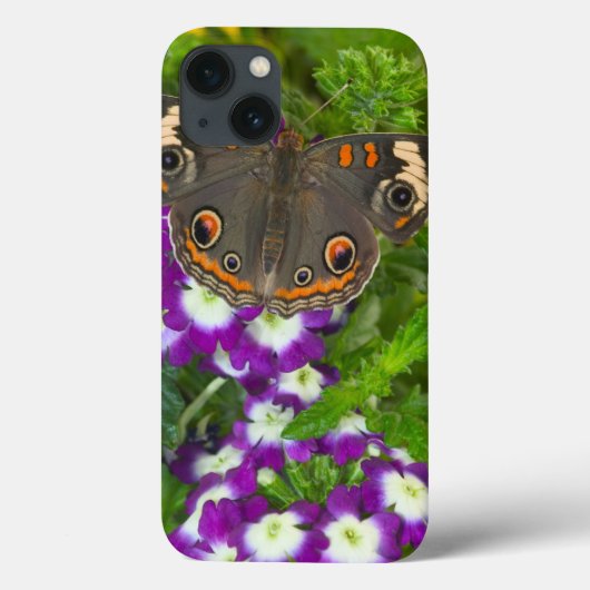 Coques Case-Mate iPhone Machaon noir (Verso)
