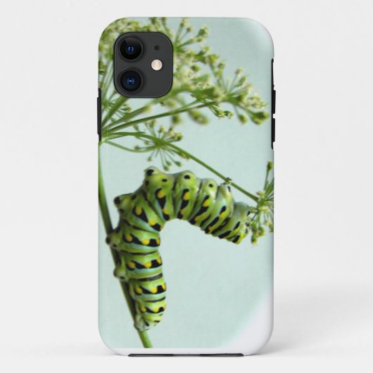 Coques Case-Mate iPhone Machaon noir Caterpillar mangeant du persil (Dos)