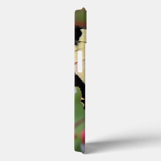 Coques Case-Mate iPhone Machaon oriental (Verso / Droite)