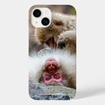 Macque Monkey, photo japonaise de singe