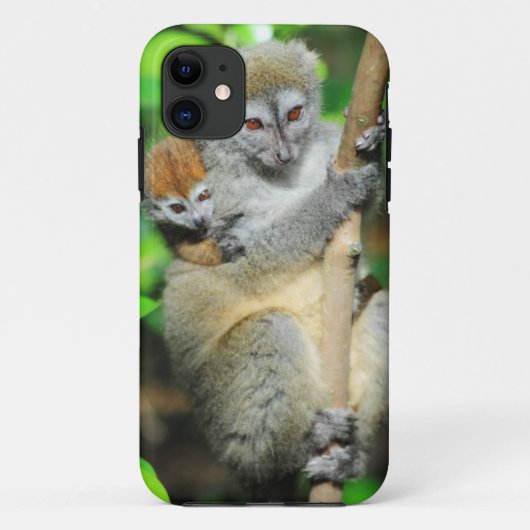 Coques Case-Mate iPhone Madagascar, Andasibe, Ile Aux Lemuriens, Mère (Dos)