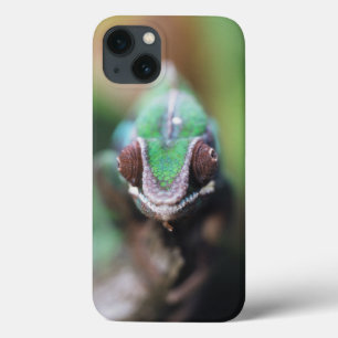 Coques Pour iPhone Madagascar, bar rouge Panther Chameleon