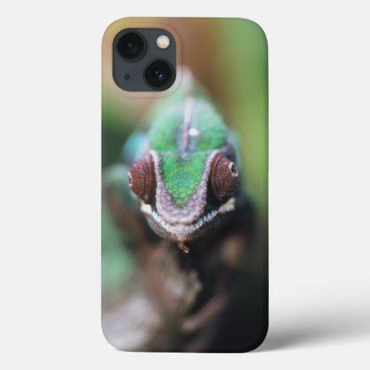 Coques Case-Mate iPhone Madagascar, Caméléon panthère à barre rouge (Verso)