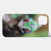 Coques Case-Mate iPhone Madagascar, Caméléon panthère à barre rouge (Verso (horizontal))