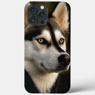 Case-Mate iPhone Case Magnifique Coussin de Lancement Husky