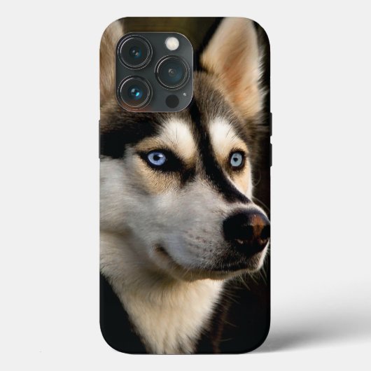Coques Case-Mate iPhone Magnifique Coussin de Lancement Husky (Verso)