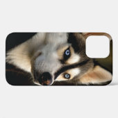 Coques Case-Mate iPhone Magnifique Coussin de Lancement Husky (Verso (horizontal))