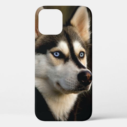 Coques Case-Mate iPhone Magnifique Coussin de Lancement Husky (Verso)