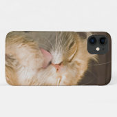 Coques Case-Mate iPhone Magnifique Preening Maine Coon Close Up Photograph (Dos (Horizontal))