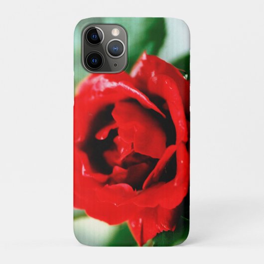 Coques Case-Mate iPhone Magnifique rose rouge avec gouttes de rosée matina (Dos)