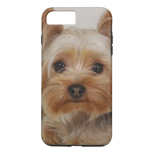 Coques Case-Mate iPhone Magnifique Yorkshire Terrier (Dos)