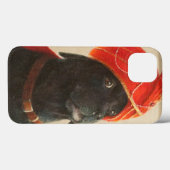 Coques Case-Mate iPhone Maharaja réticent 2010 (Verso (horizontal))