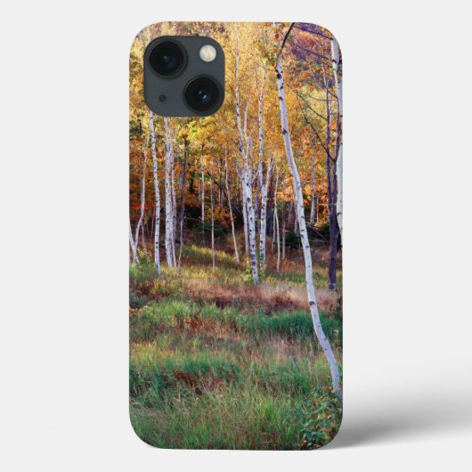 Coques Case-Mate iPhone Maine, Parc national d'Acadia, Automne (Verso)
