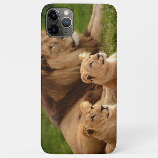 Case-Mate iPhone Case Majestic Lion Phone Case – Bold & Powerful Animal