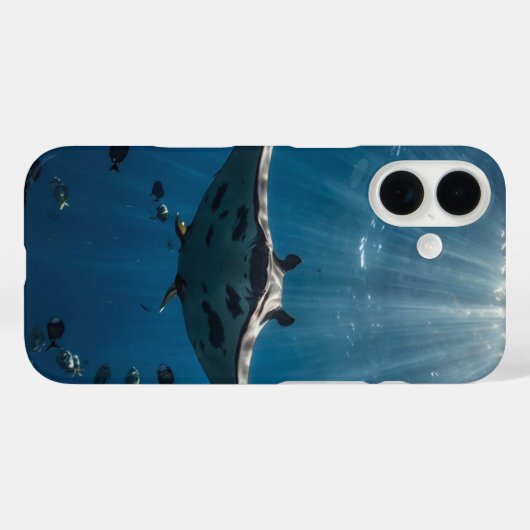 Coques Case-Mate iPhone Majestic Manta (Verso (horizontal))