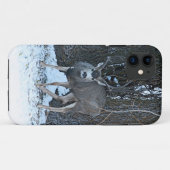 Coques Case-Mate iPhone Mâle de TALL RACK (Dos (Horizontal))