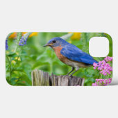 Coques Case-Mate iPhone Mâle d'oiseau bleu sur le courrier de barrière (Verso (horizontal))