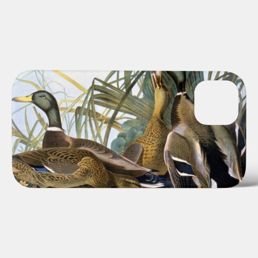 Coques Case-Mate iPhone Mallard Duck (Verso (horizontal))