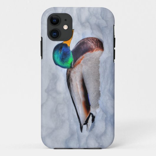 Coques Case-Mate iPhone Mallard Duck Drake Wildlife Portrait (Dos)