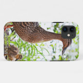 Coques Case-Mate iPhone Mallard et Ducklings par Shirley Taylor (Dos (Horizontal))
