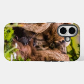 Coques Case-Mate iPhone Mama bear nourrit ses deux petits, Lake Clark Nati (Verso (horizontal))