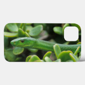Coques Case-Mate iPhone Mamba vert oriental (Dendroaspis angusticeps) (Verso (horizontal))