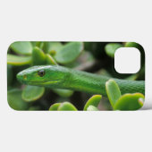 Coques Case-Mate iPhone Mamba vert oriental (Dendroaspis angusticeps) (Verso (horizontal))