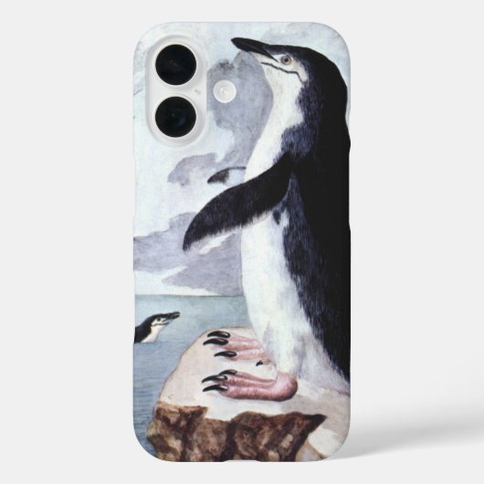 Coques Case-Mate iPhone Manchot à jugulaire, Oiseaux d'Antarctique d'autre (Verso)