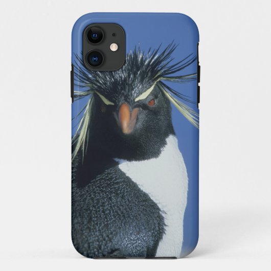 Coques Case-Mate iPhone Manchot de Hoppe (Eudyptes chrysocome) (Dos)