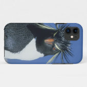 Coques Case-Mate iPhone Manchot de Hoppe (Eudyptes chrysocome) (Dos (Horizontal))