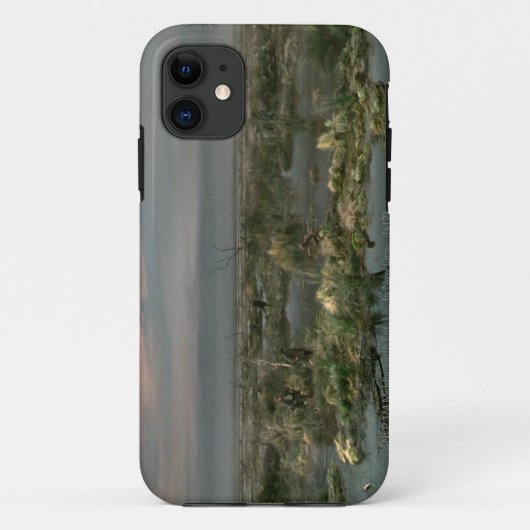 Coques Case-Mate iPhone Marais morts (Dos)