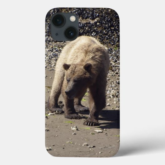 Coques Case-Mate iPhone Marcher Grizzly sauvage Ours faune photo (Verso)