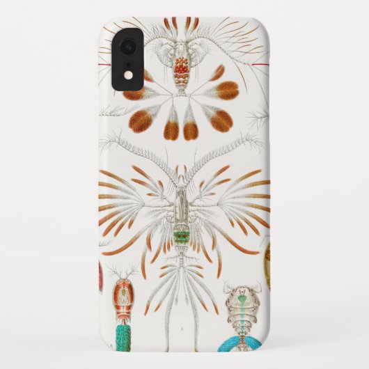 Coques Case-Mate iPhone Marine Life Crustacés, Copepoda par Ernst Haeckel (Dos)