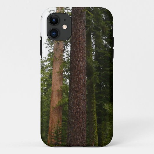 Coques Case-Mate iPhone Mariposa Grove dans le parc national de Yosemite (Dos)
